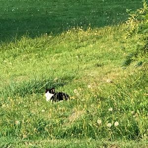 Meet your Posher, Cami